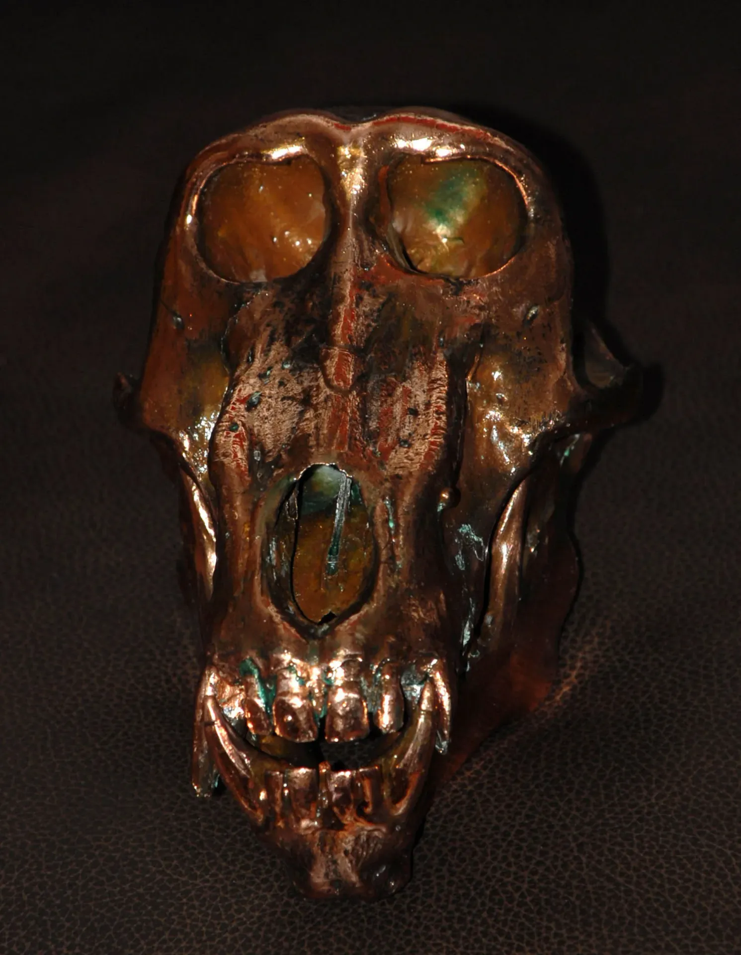 Baboon2 Skull Mount — Highveld Taxidermists