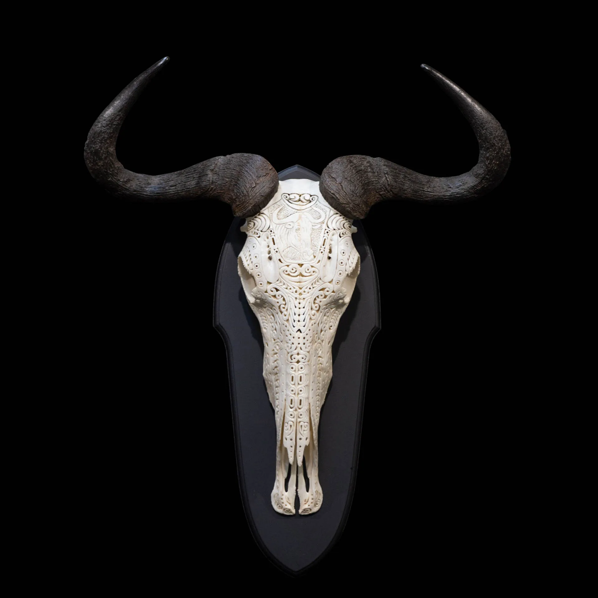 Blue Wildebeest Carved Black 2 Skull Mount — Highveld Taxidermists