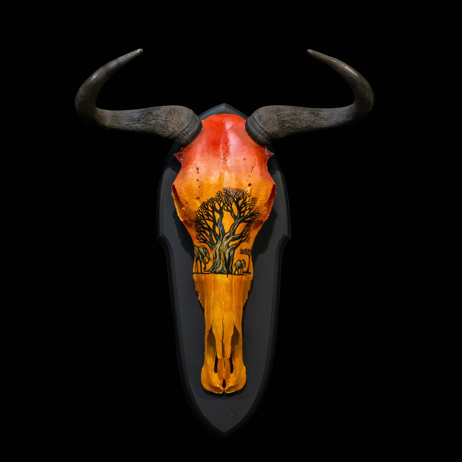 Blue Wildebeest Painted Sunset Skull Mount — Highveld Taxidermists