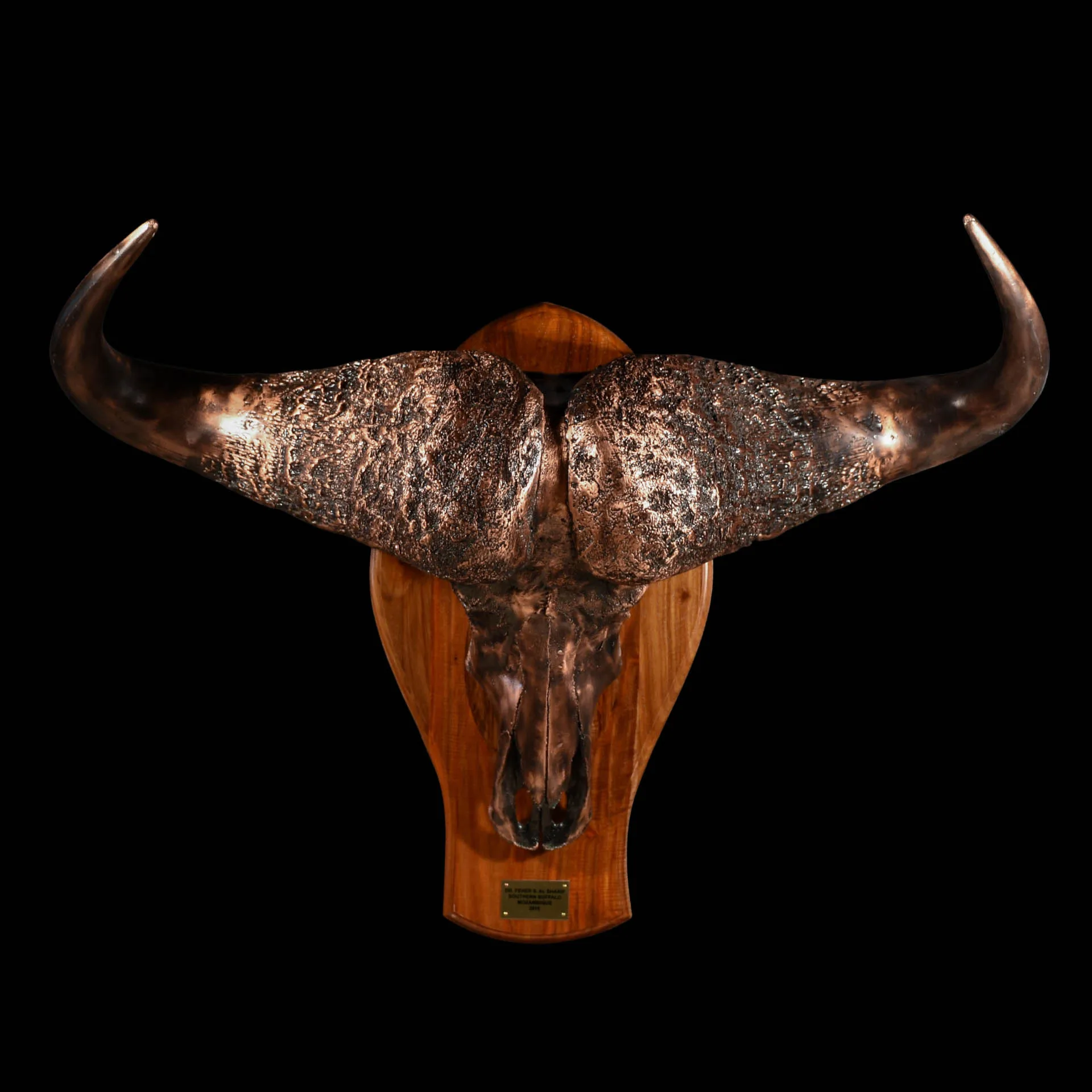 Buffalo Skull Shield Bronze Skull Mount — Highveld Taxidermists