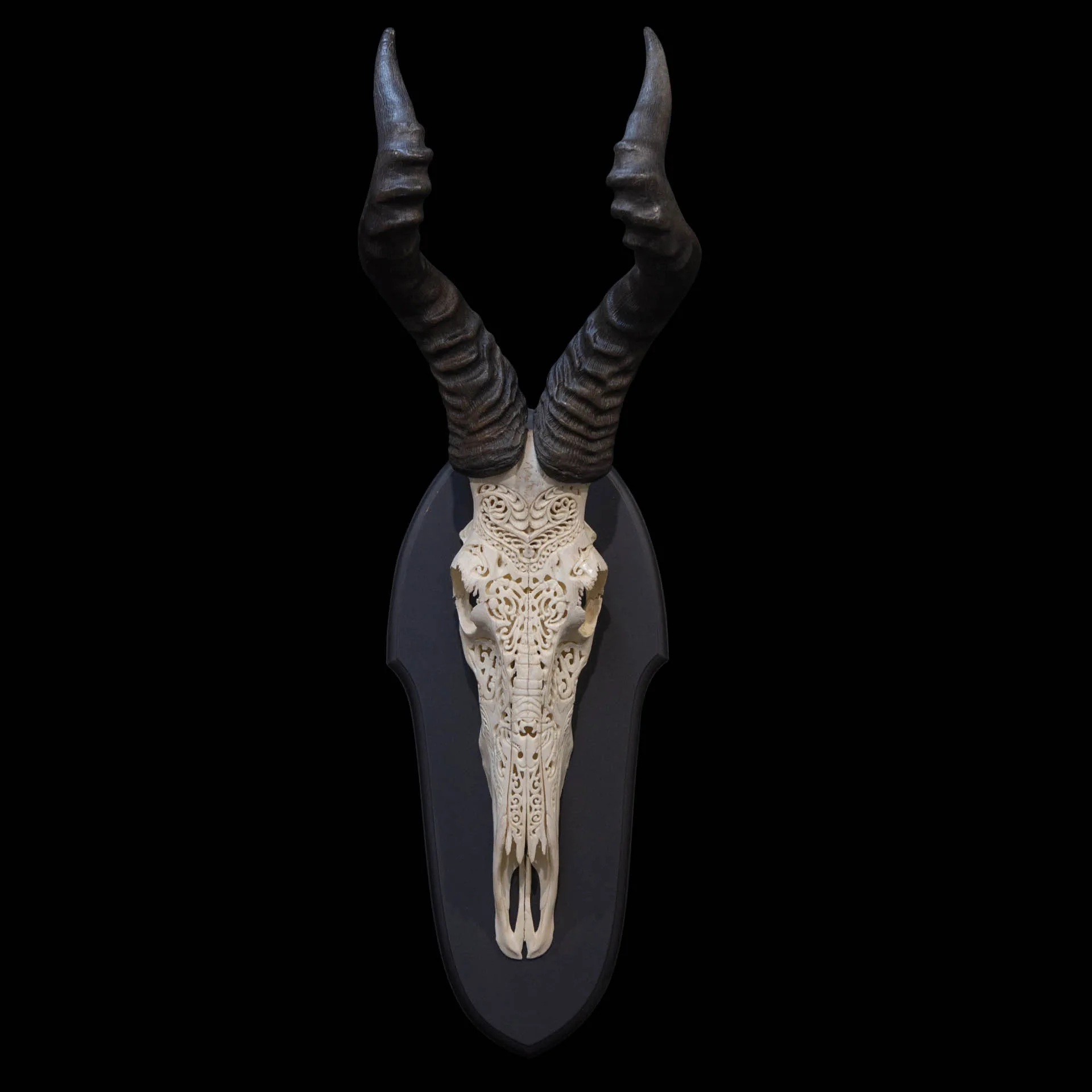 Hartebeest Skull Carved Black Skull Mount — Highveld Taxidermists