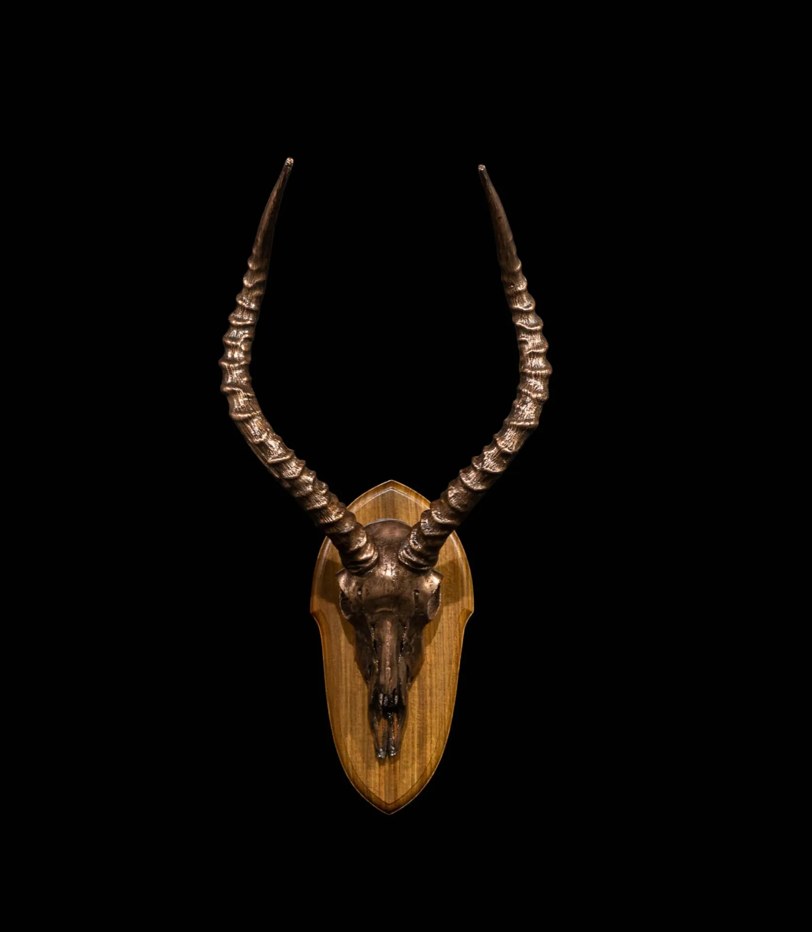 Impala Skull Electroplated Kiaat Skull Mount — Highveld Taxidermists