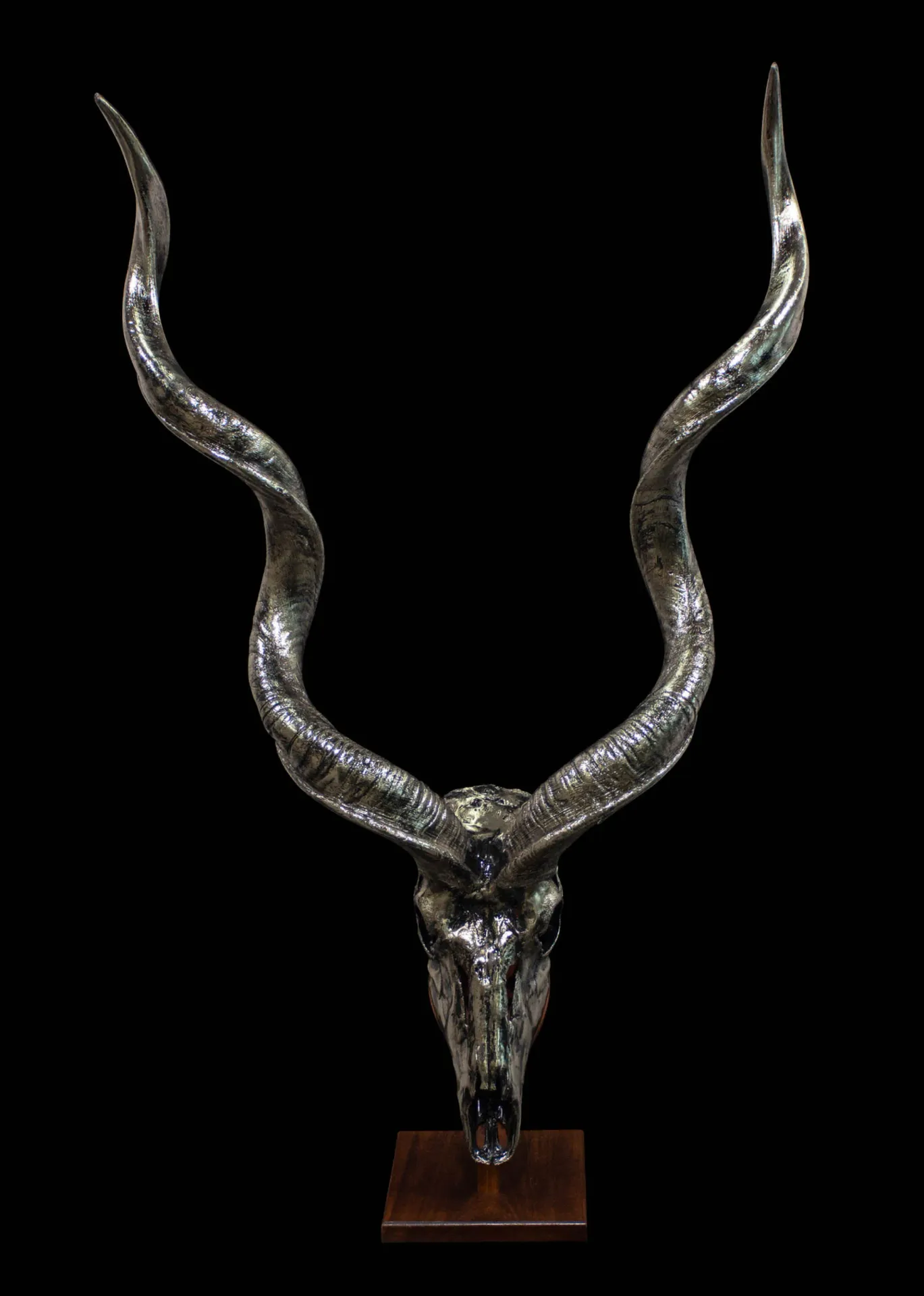 Kudu Nickel Desktop 1 Skull Mount — Highveld Taxidermists