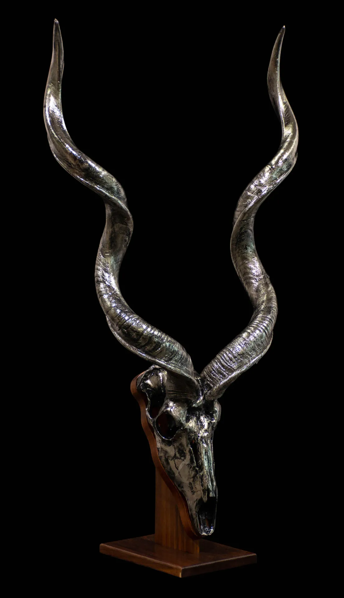 Kudu Nickel Desktop 2 Skull Mount — Highveld Taxidermists