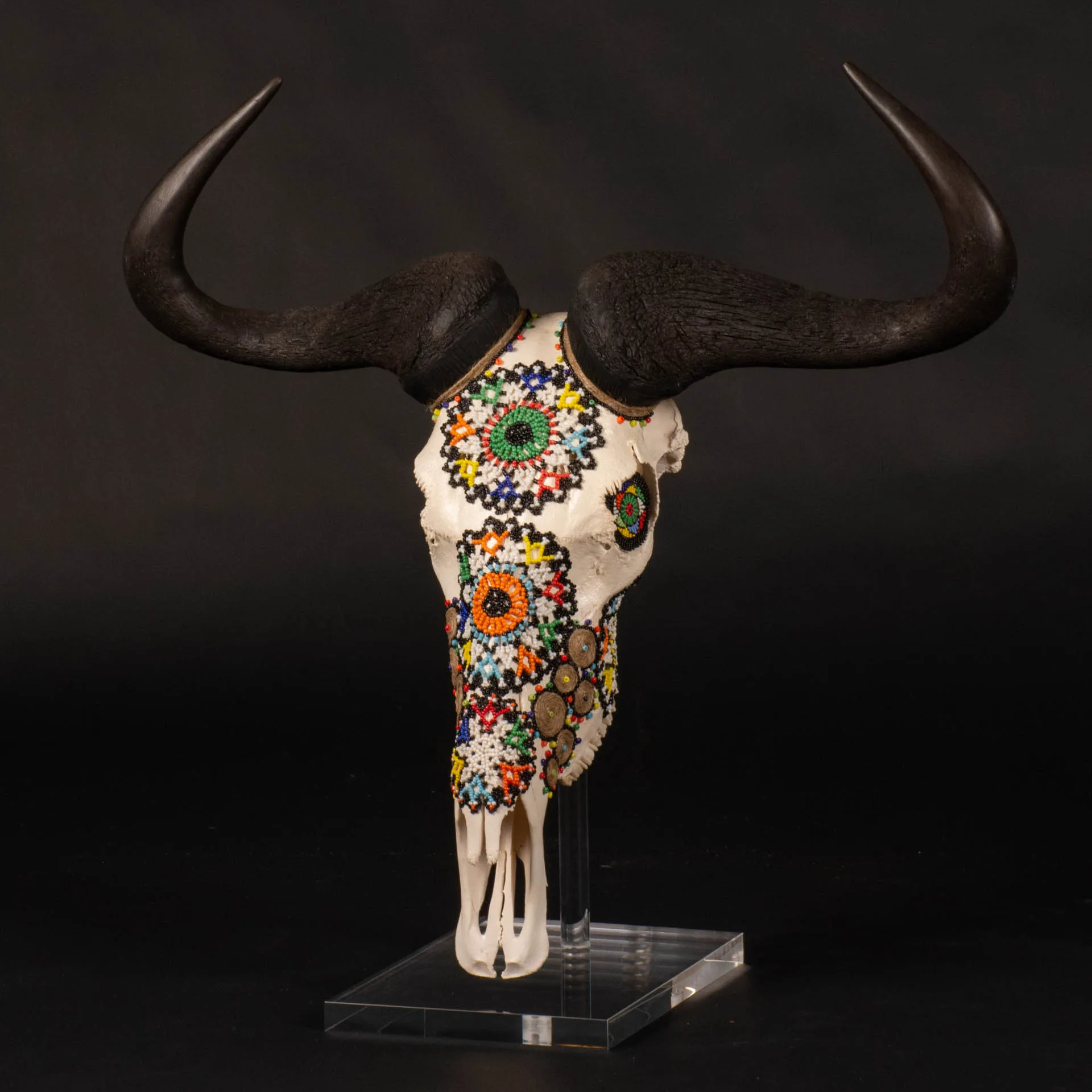 Wildebeest Skull Beaded Skull Mount — Highveld Taxidermists