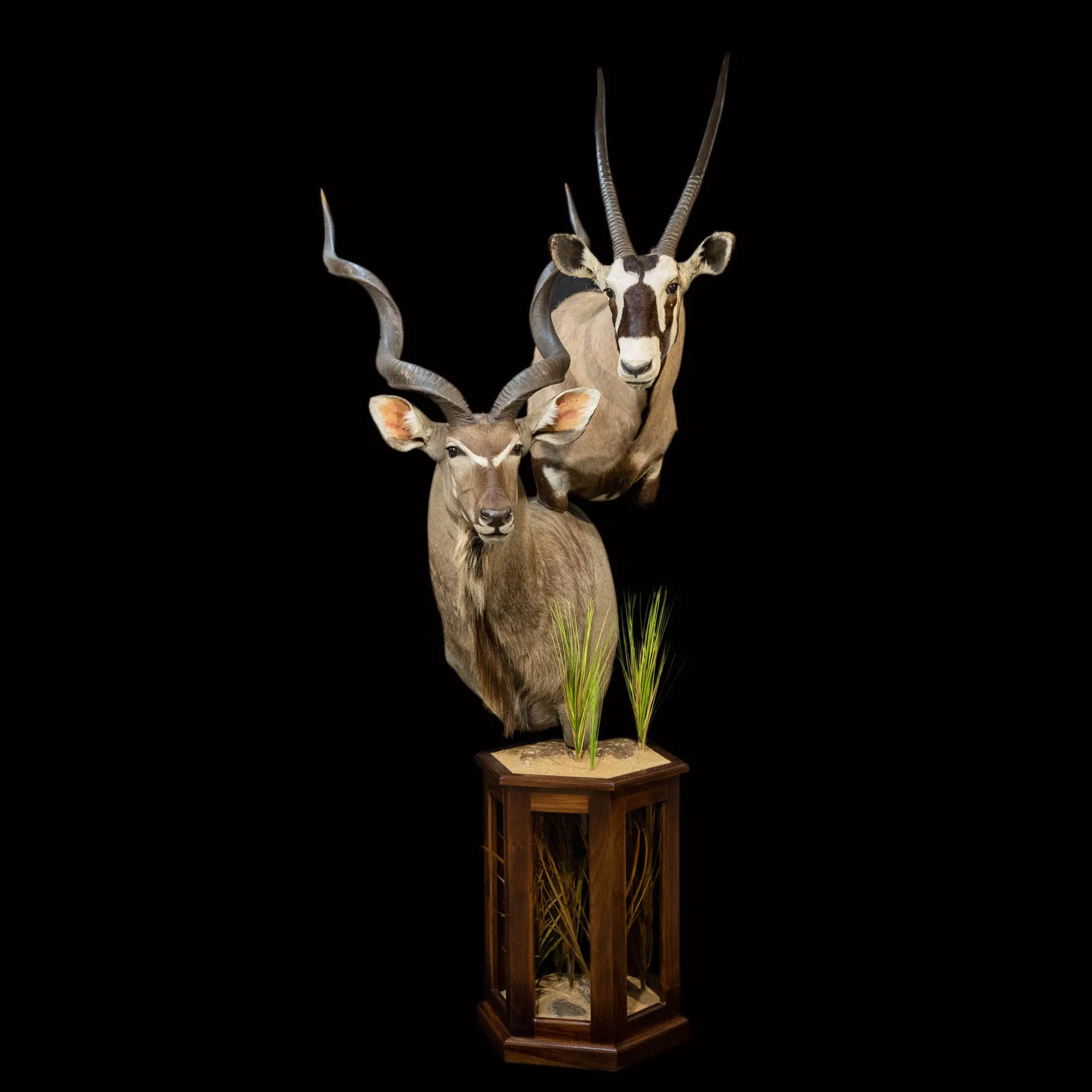 Gemsbok Kudu Pedestal Pedestal Mount — Highveld Taxidermists