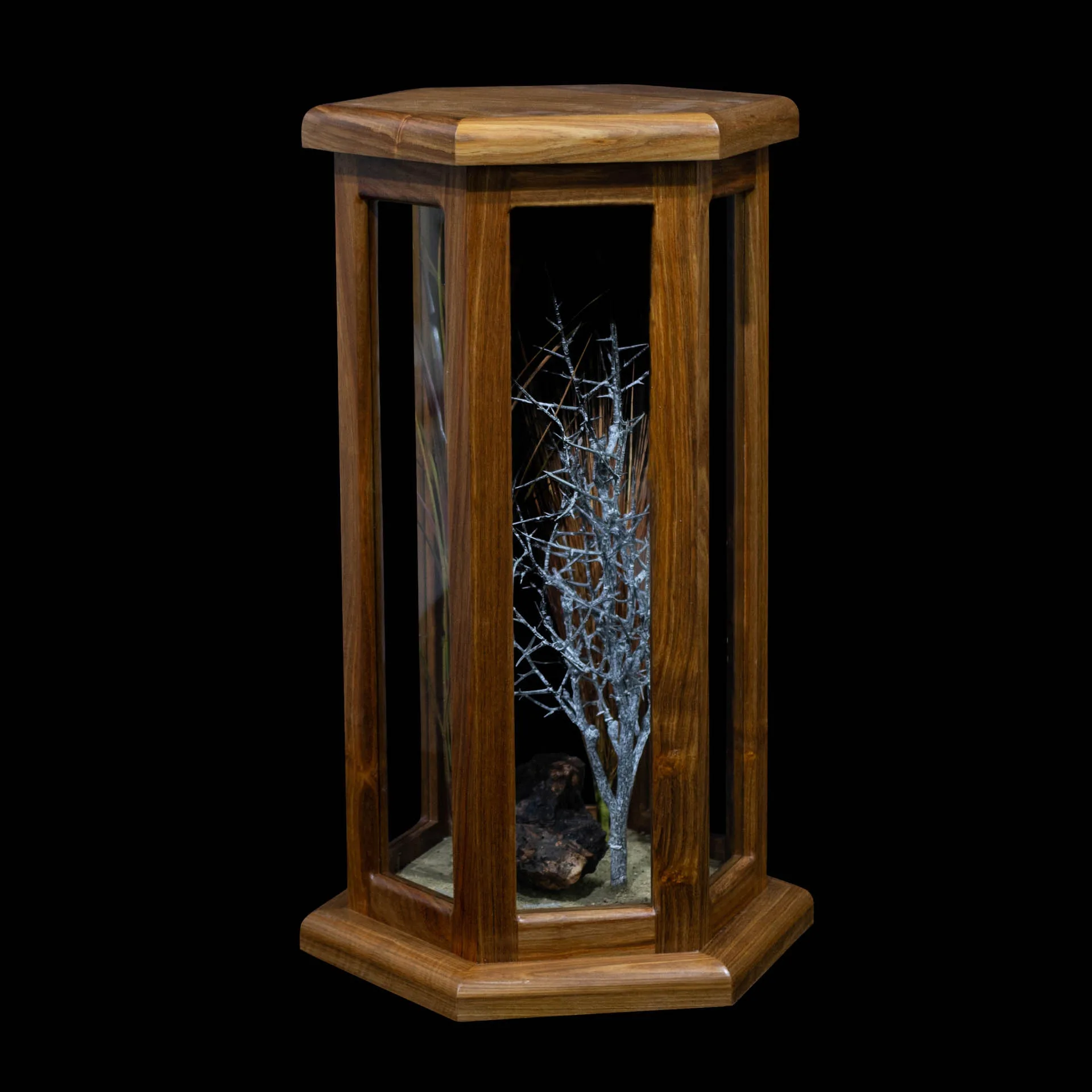 Kiaat Hex Habitat Pedestal Mount — Highveld Taxidermists