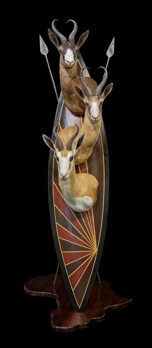 3 Springbok Zulu — Highveld Taxidermists
