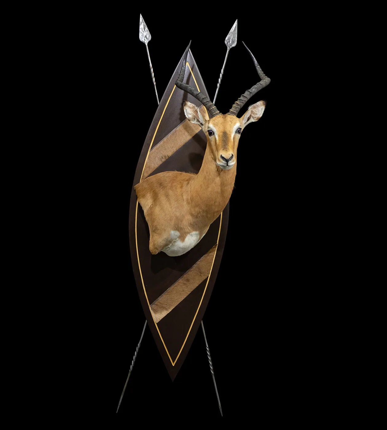 Impala Zulu Inlays — Highveld Taxidermists