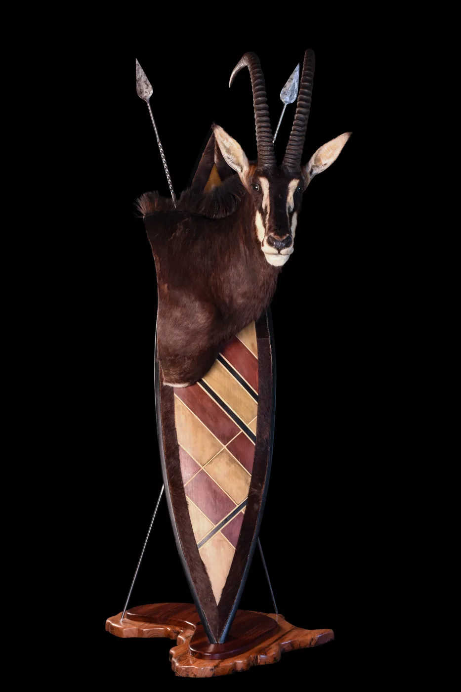 Sable Zulu Floor — Highveld Taxidermists