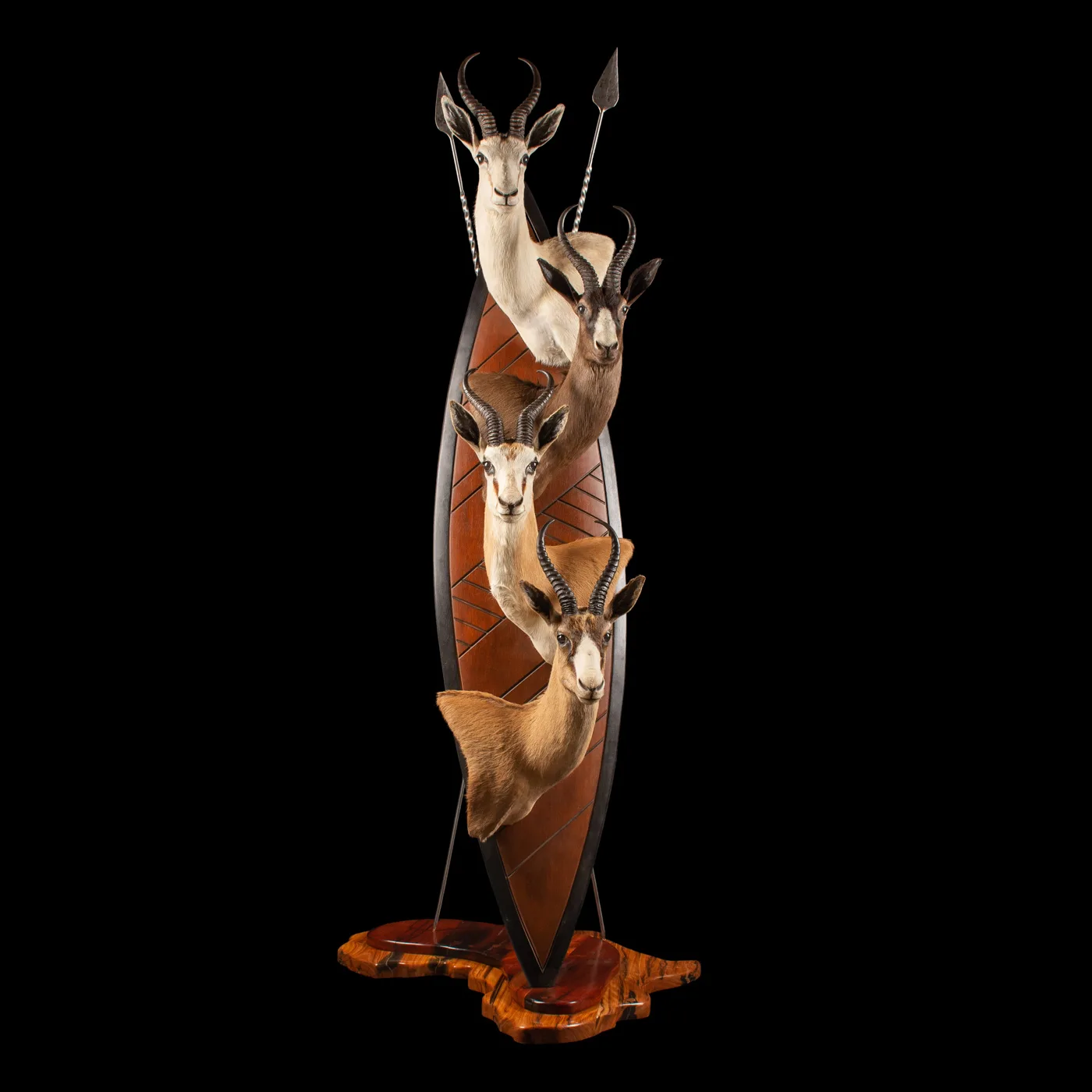 Springbok Zulu Slam — Highveld Taxidermists