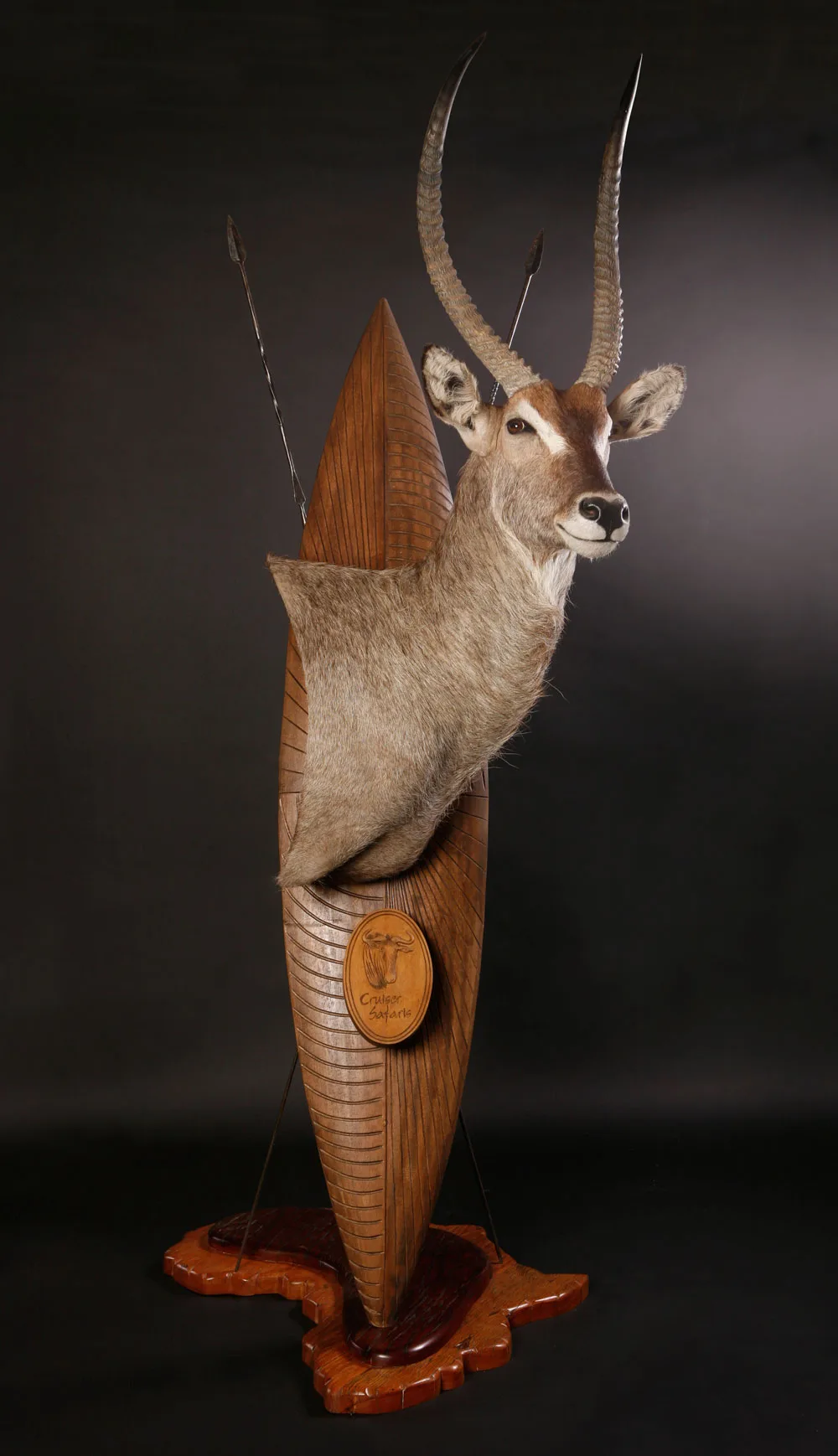 Waterbuck on shield — Highveld Taxidermists