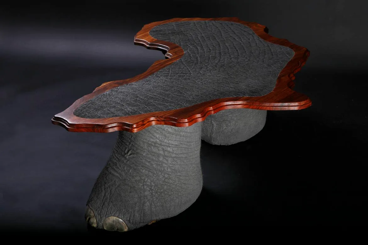 Elephant Table — Highveld Taxidermists