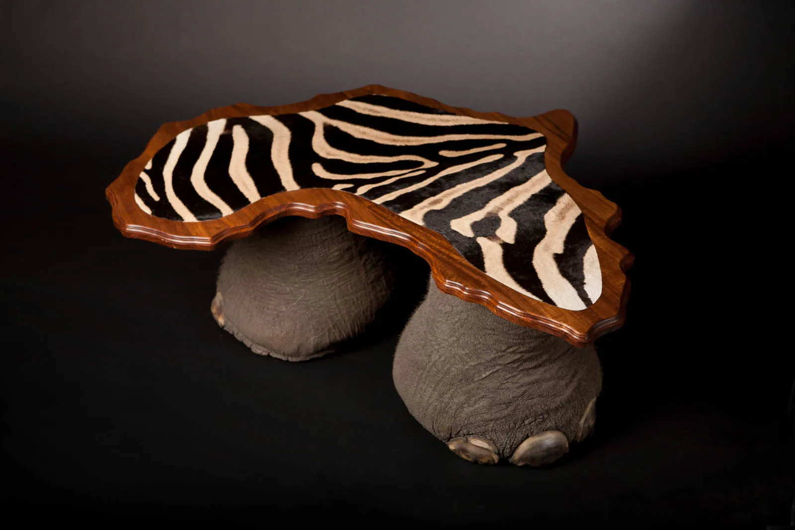 Zebra & Elephant Africa Table — Highveld Taxidermists