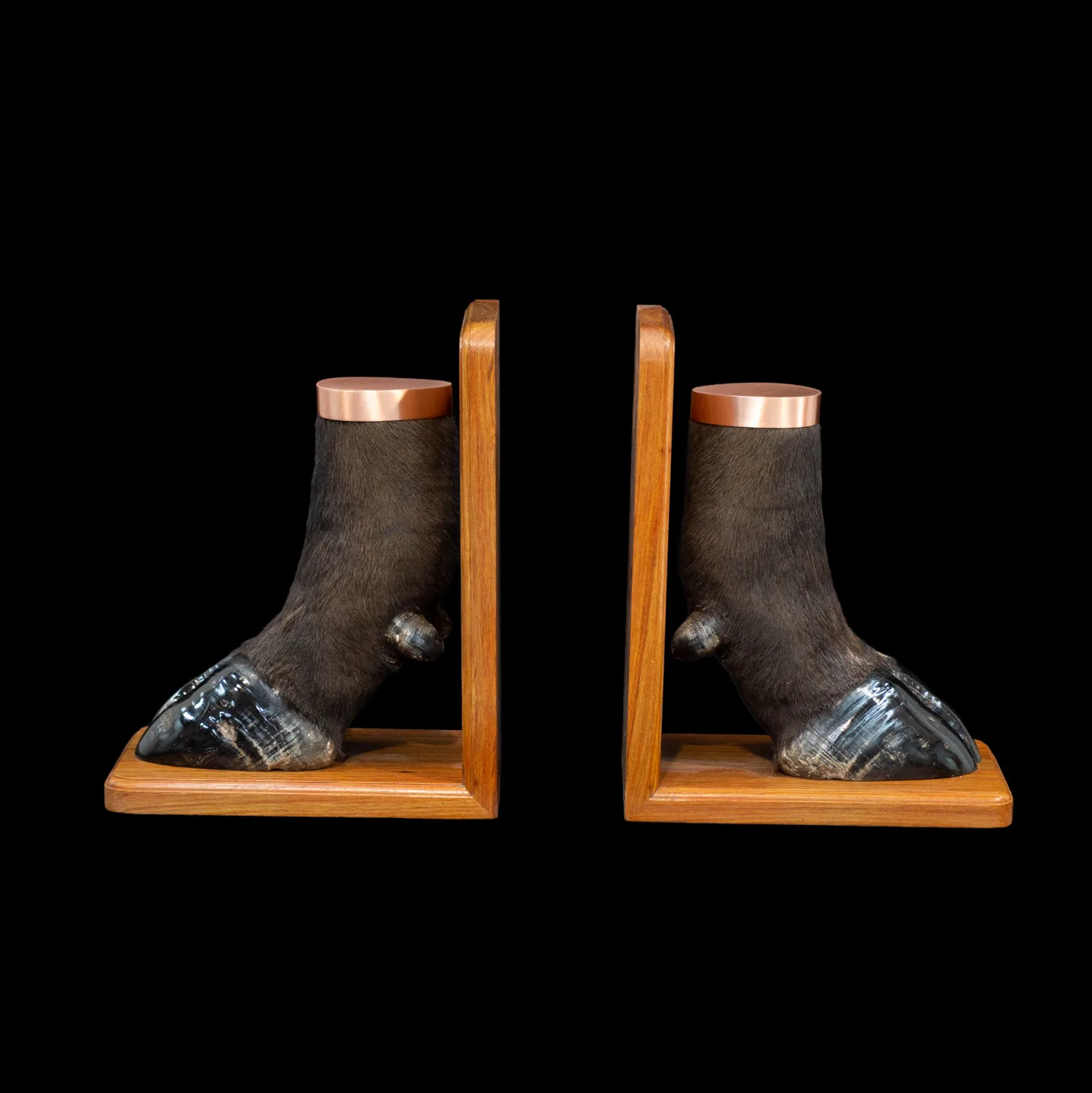 Buffalo Bookends Copper — Highveld Taxidermists