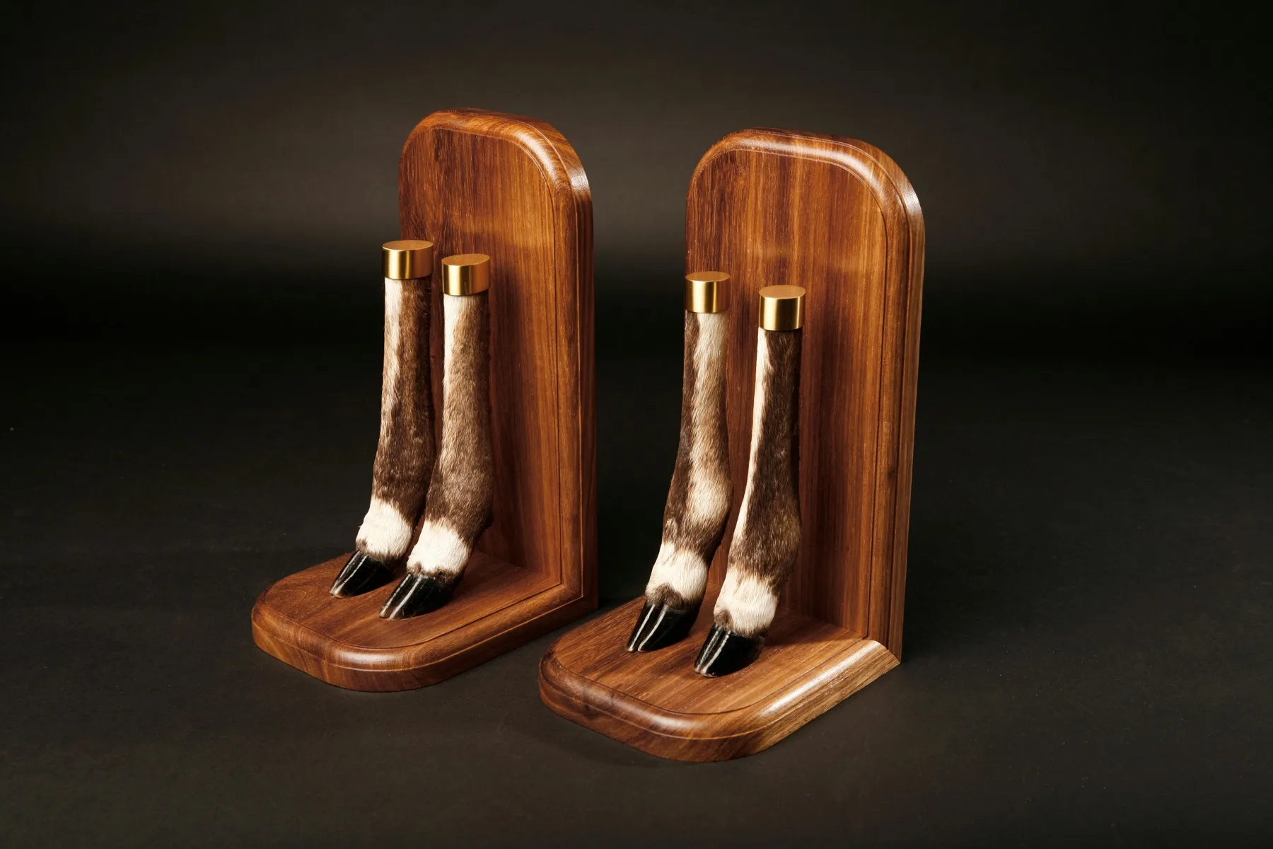Bushbuck — Highveld Taxidermists
