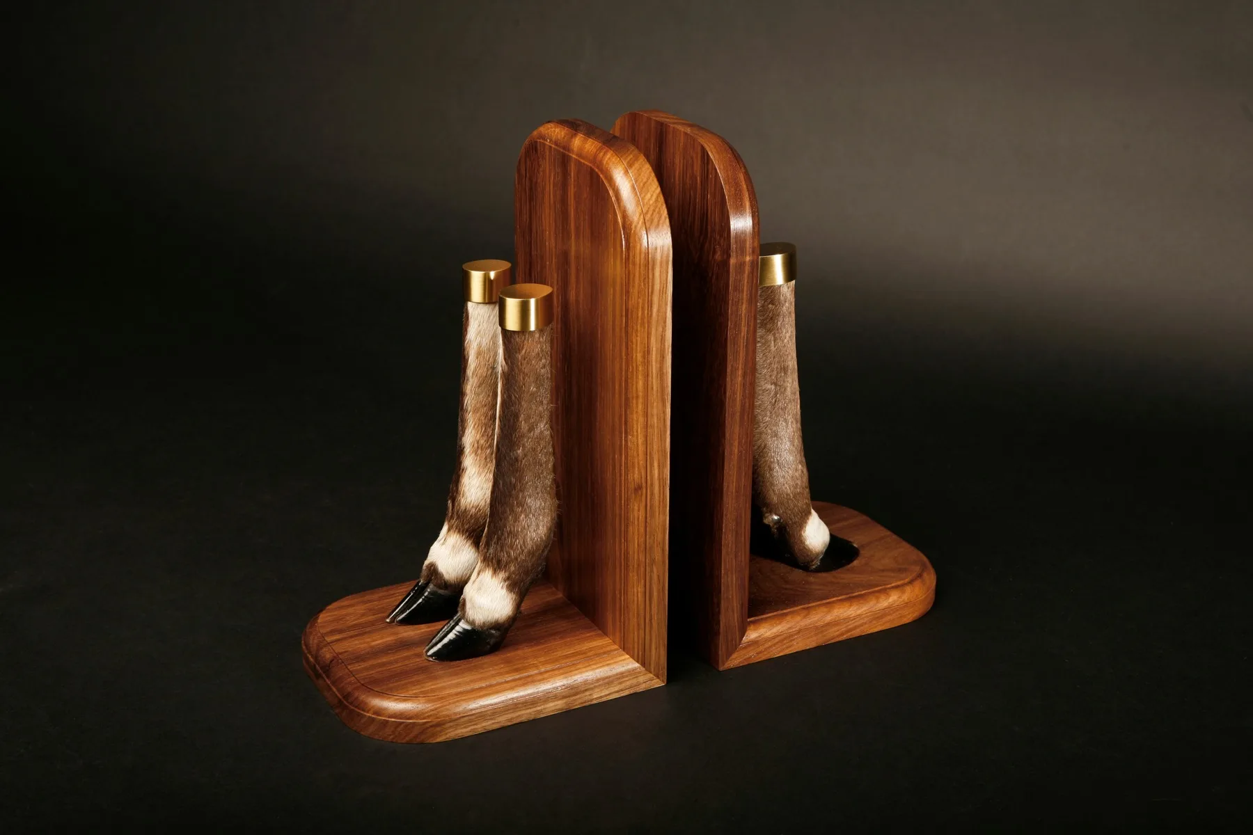 Bushbuck2 — Highveld Taxidermists