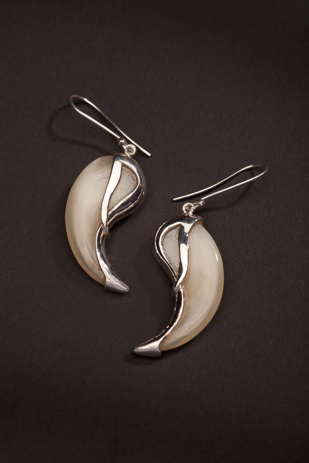 Claw Earrings Hanging — Highveld Taxidermists