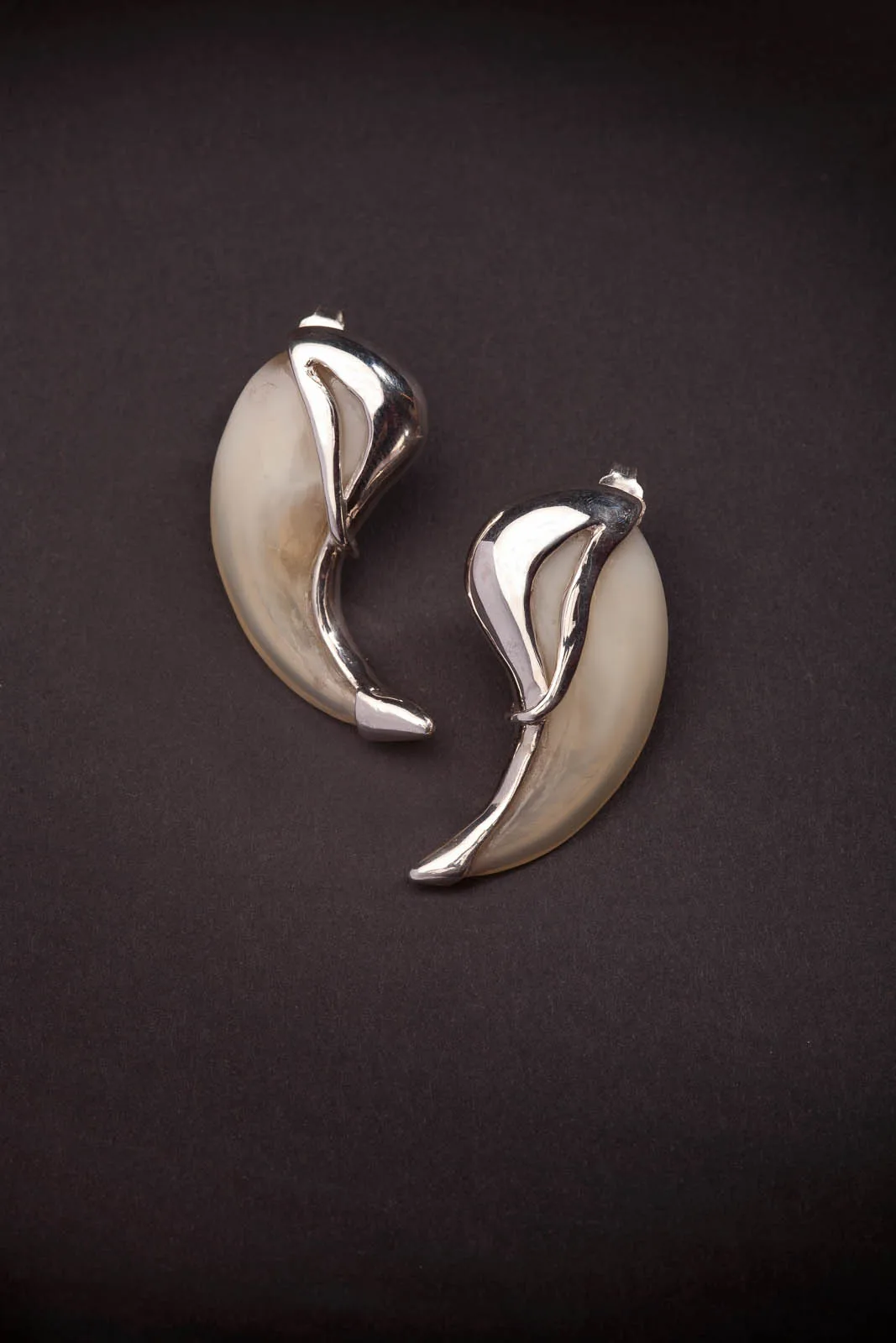 Claw Earrings Studs — Highveld Taxidermists