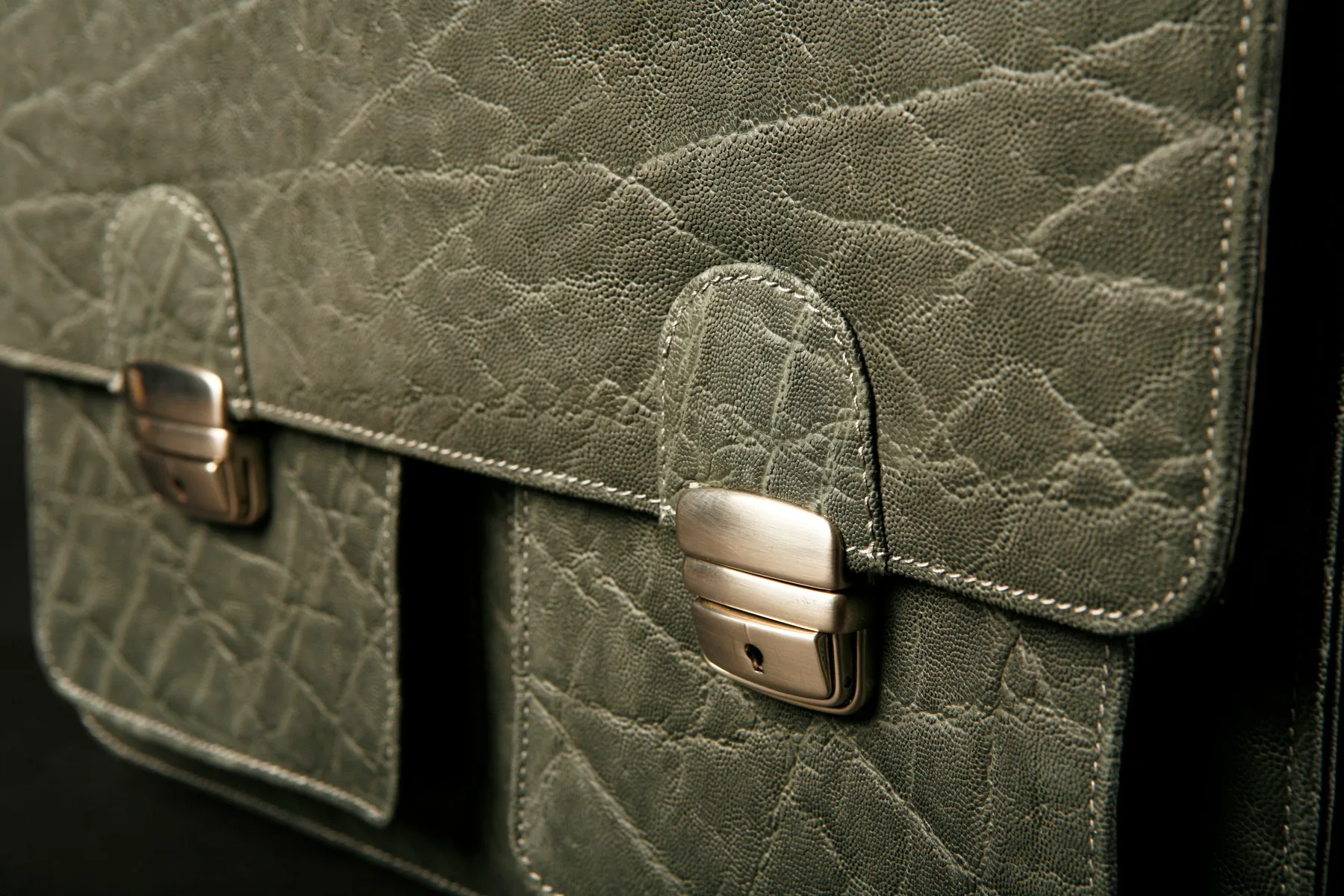 Elephant Briefcase detail — Highveld Taxidermists