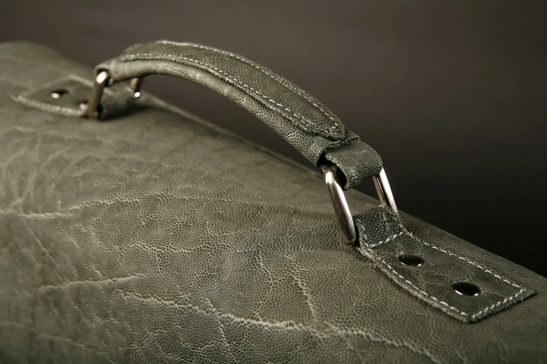 Elephant Briefcase detail — Highveld Taxidermists
