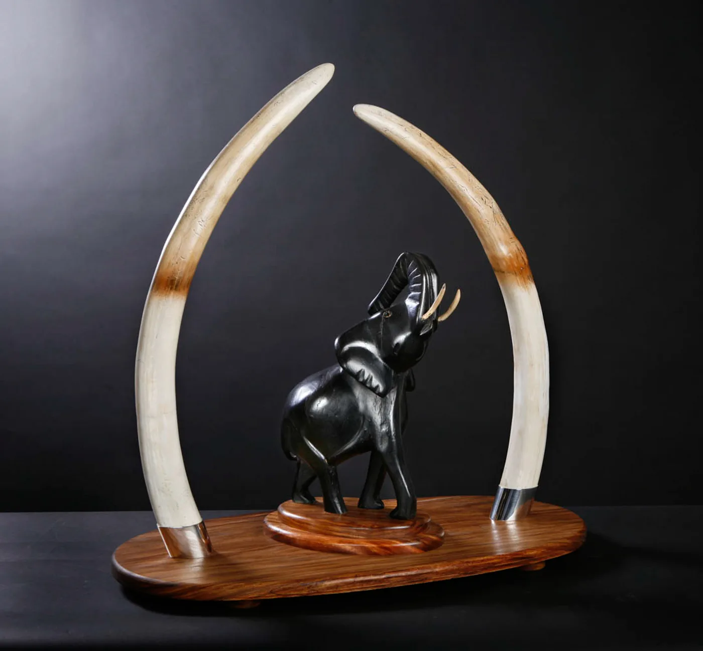 Elephant Tusks (2) — Highveld Taxidermists