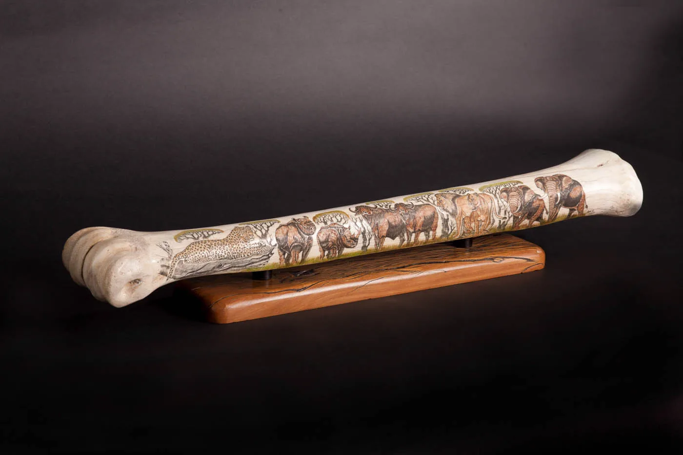 Giraffe bone etched angled — Highveld Taxidermists