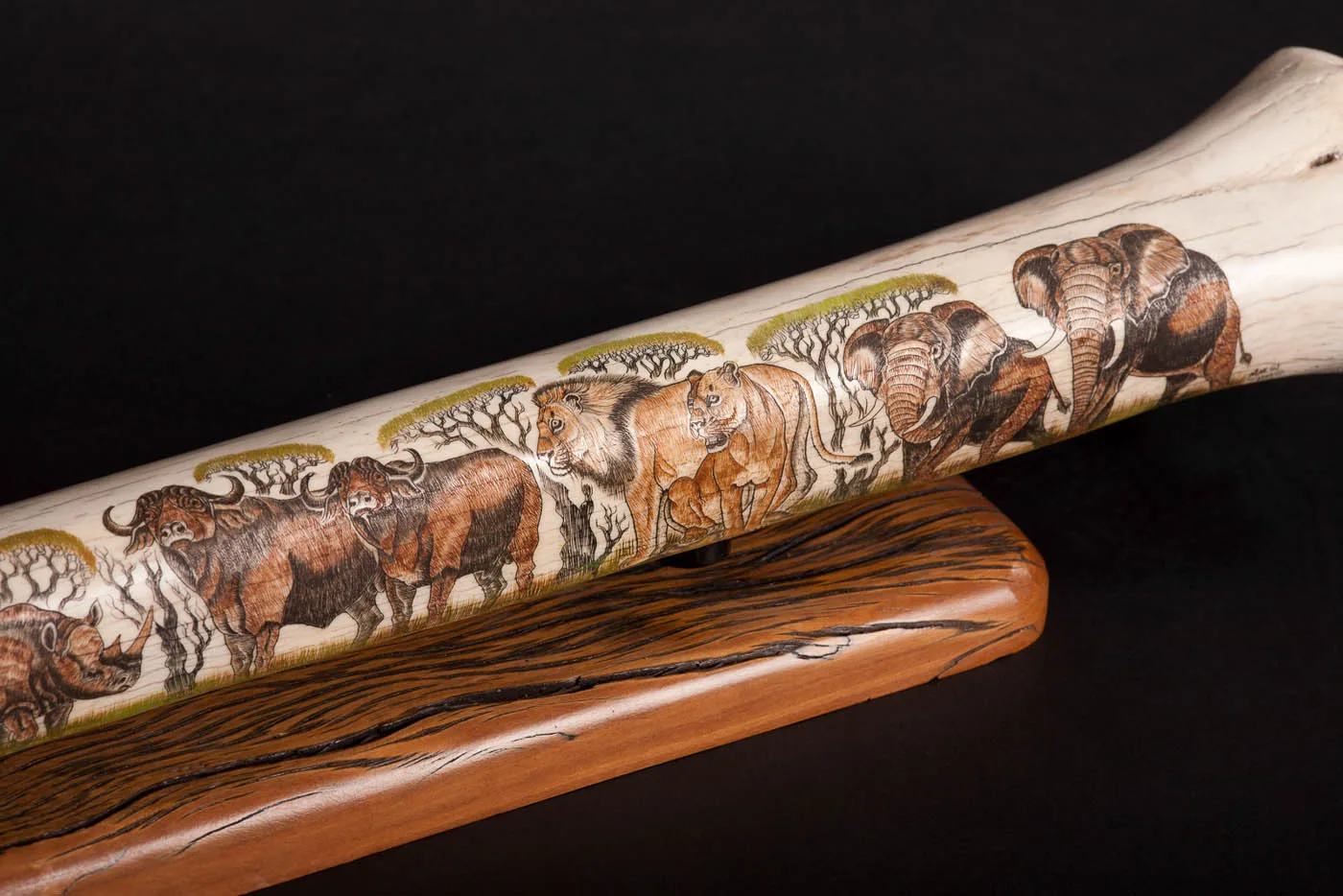 Giraffe bone etched detail — Highveld Taxidermists