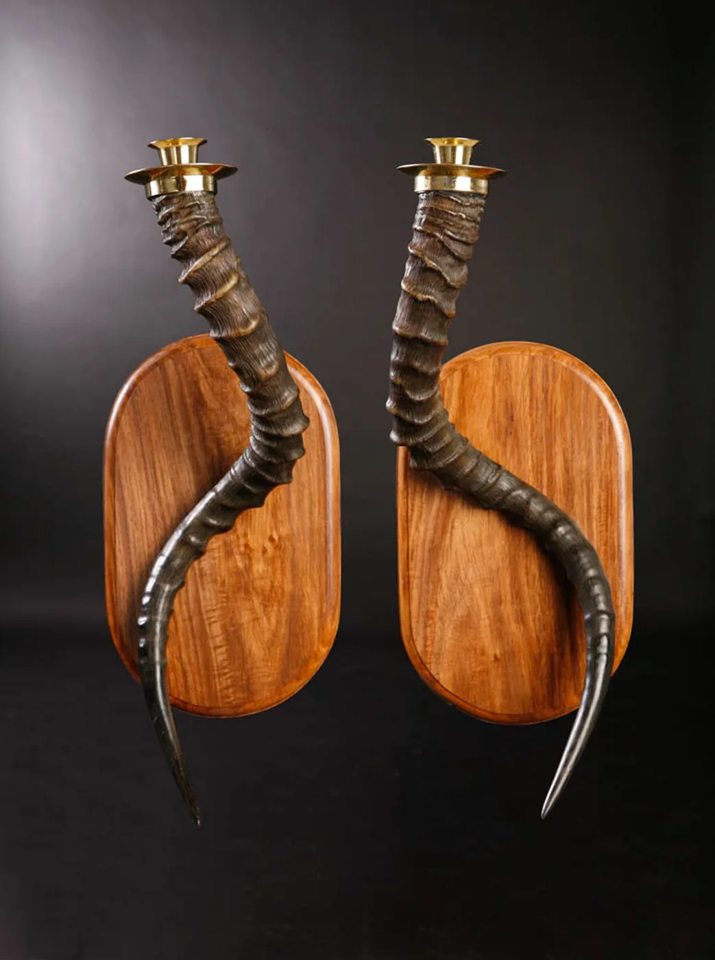 Impala Horn candle holders — Highveld Taxidermists