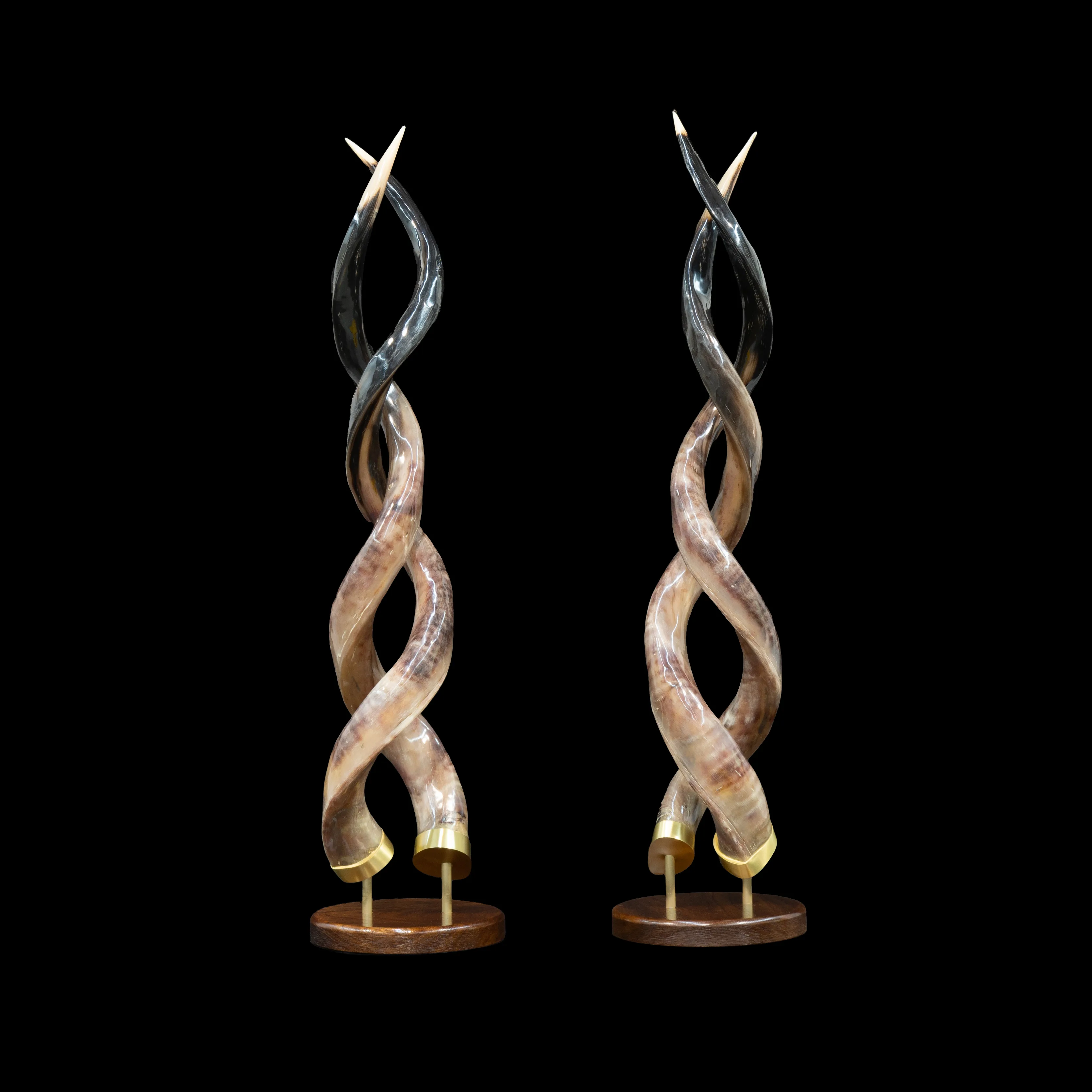 Kudu Horns Polished Desktop Brass — Highveld Taxidermists