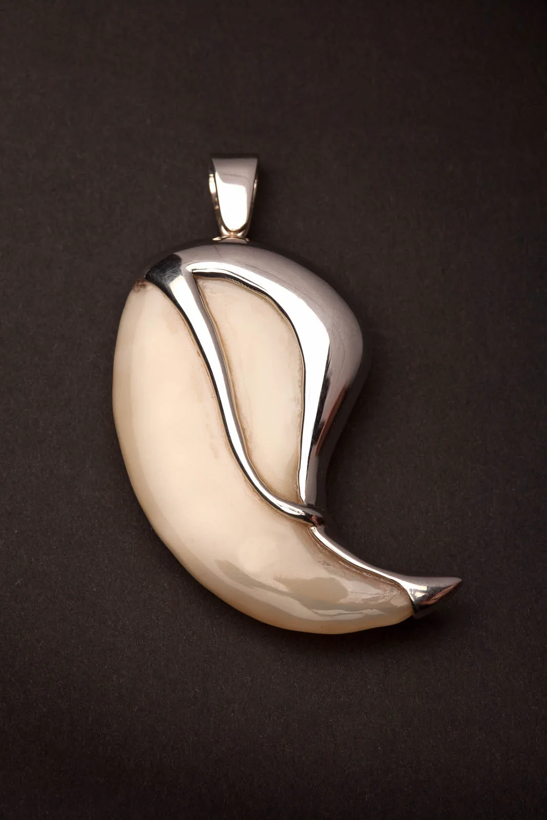 Tooth Pendant — Highveld Taxidermists