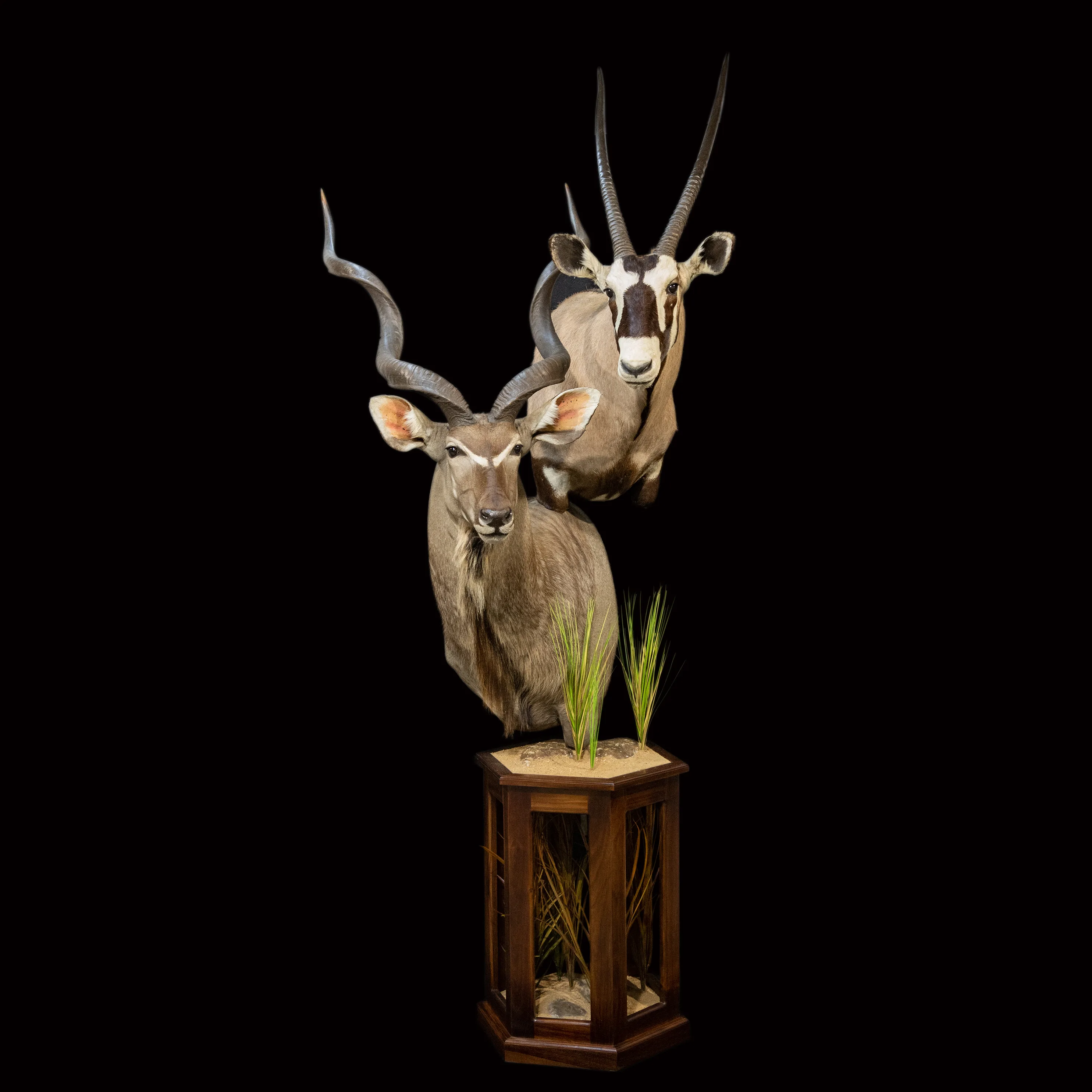 Gemsbok Kudu Pedestal — Highveld Taxidermists