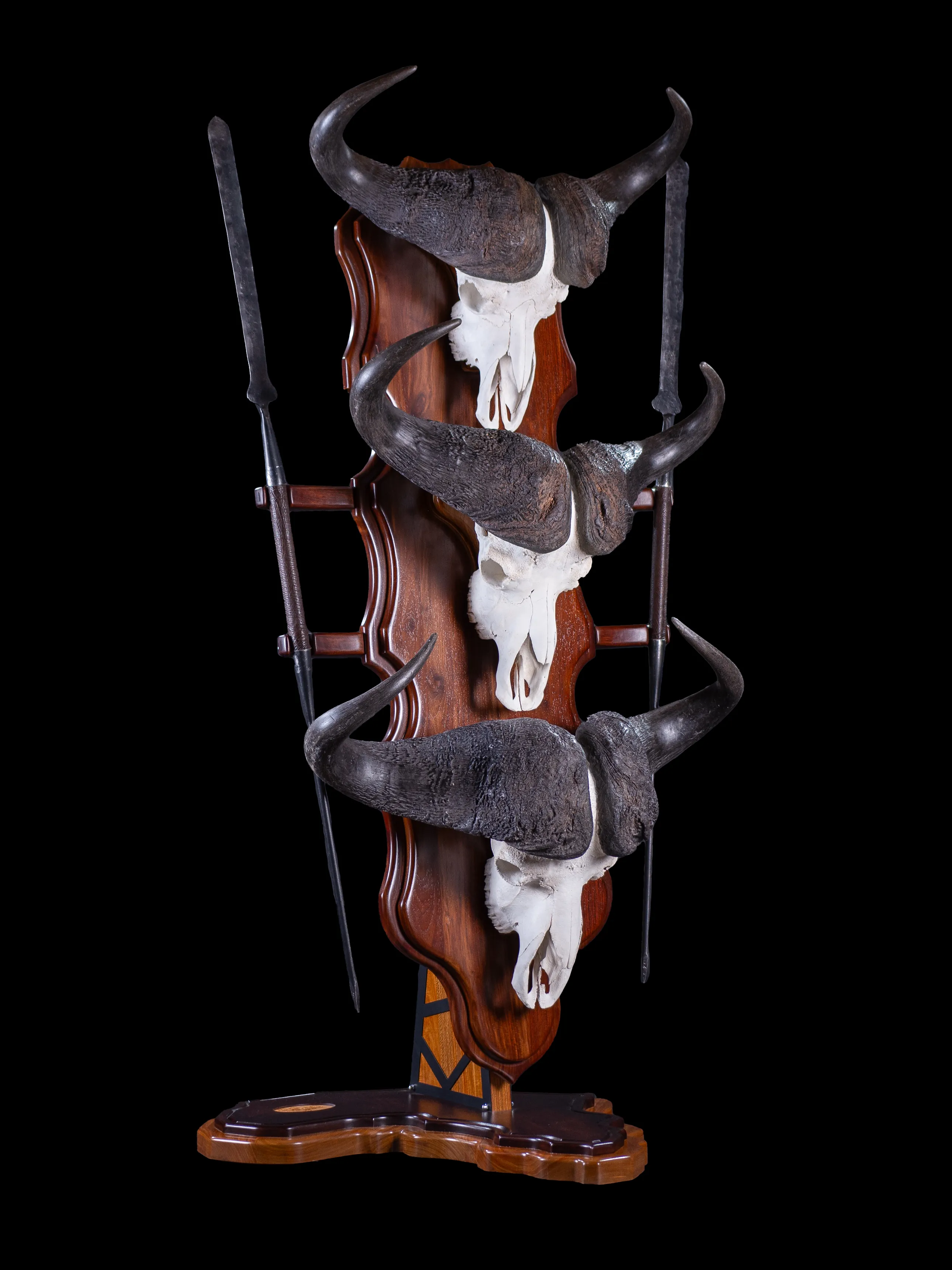 Buffalo 3 skulls Stand — Highveld Taxidermists