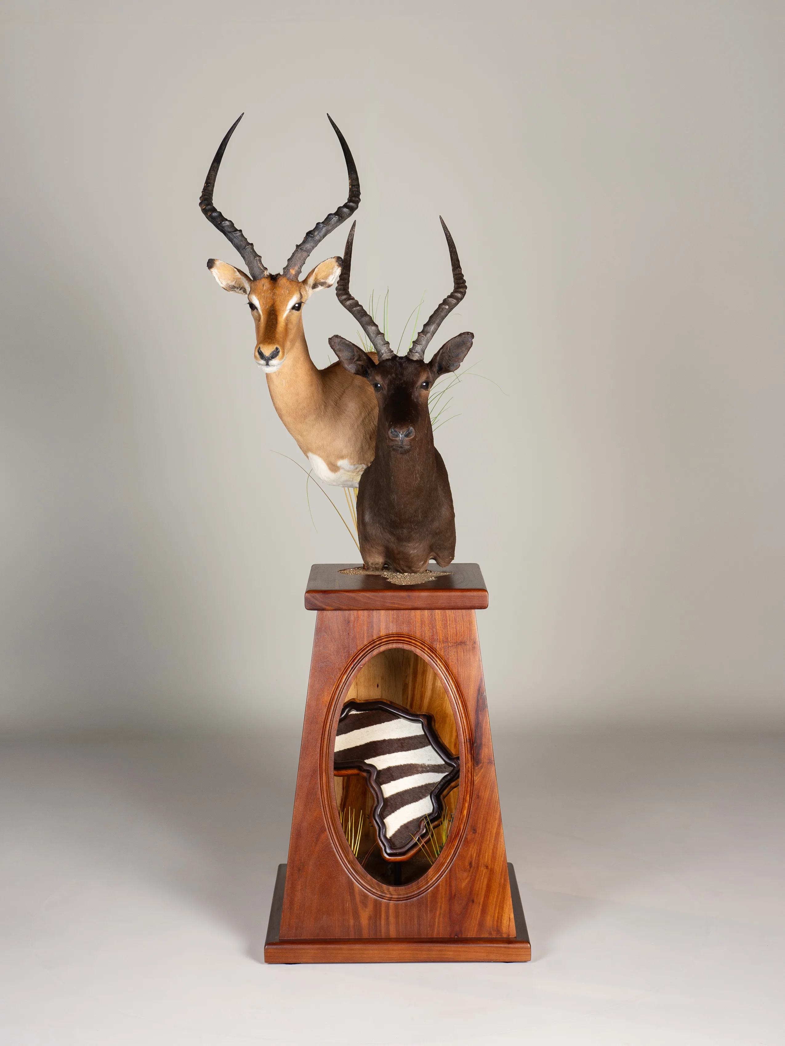 Common Black Impala Stack Pedestal — Highveld Taxidermists