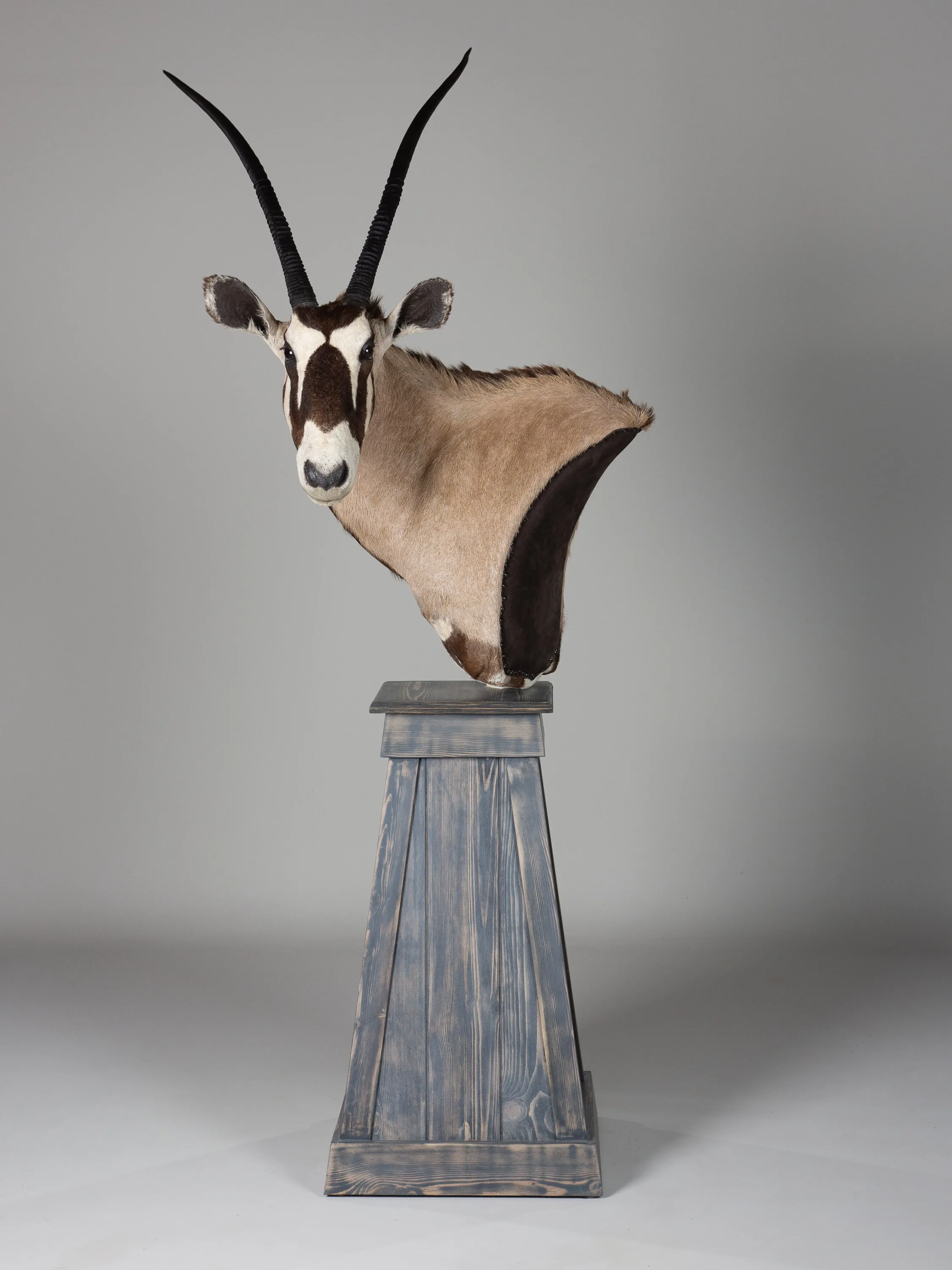 Gemsbok Pedestal Barnwood Front — Highveld Taxidermists