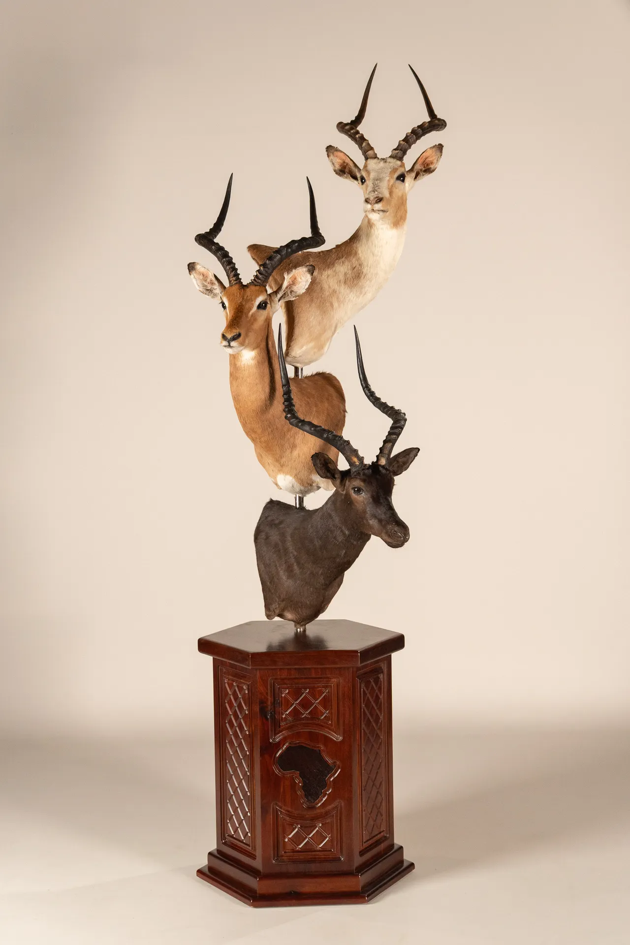 Impala Stack Pin Pedestal — Highveld Taxidermists