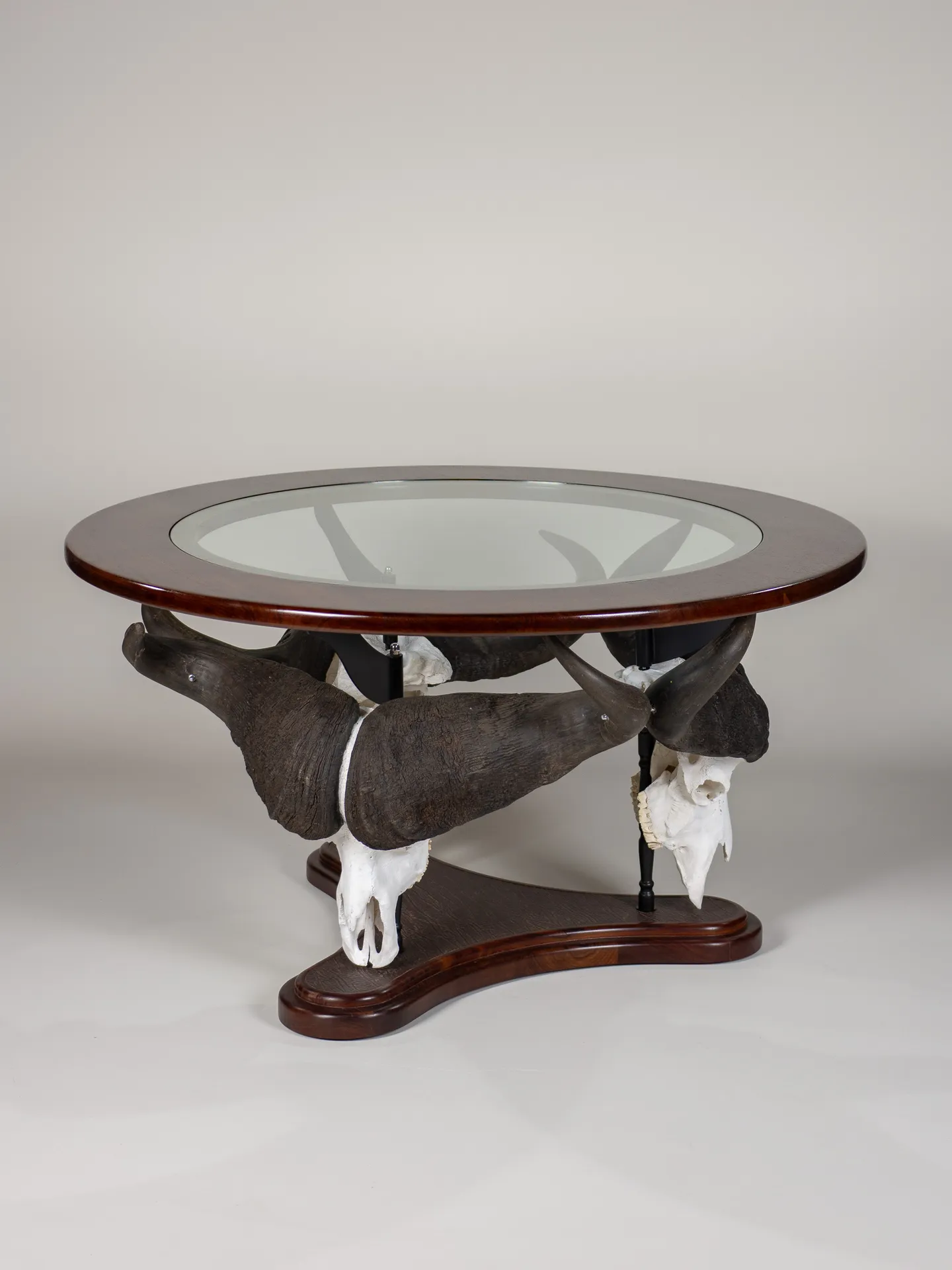 Buffalo Skull Table — Highveld Taxidermists