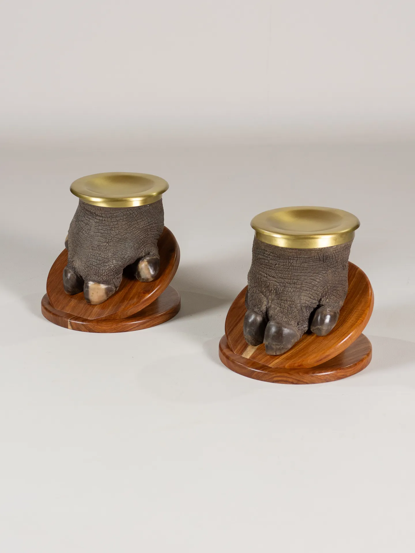 Hippo Feet Ashtrays — Highveld Taxidermists