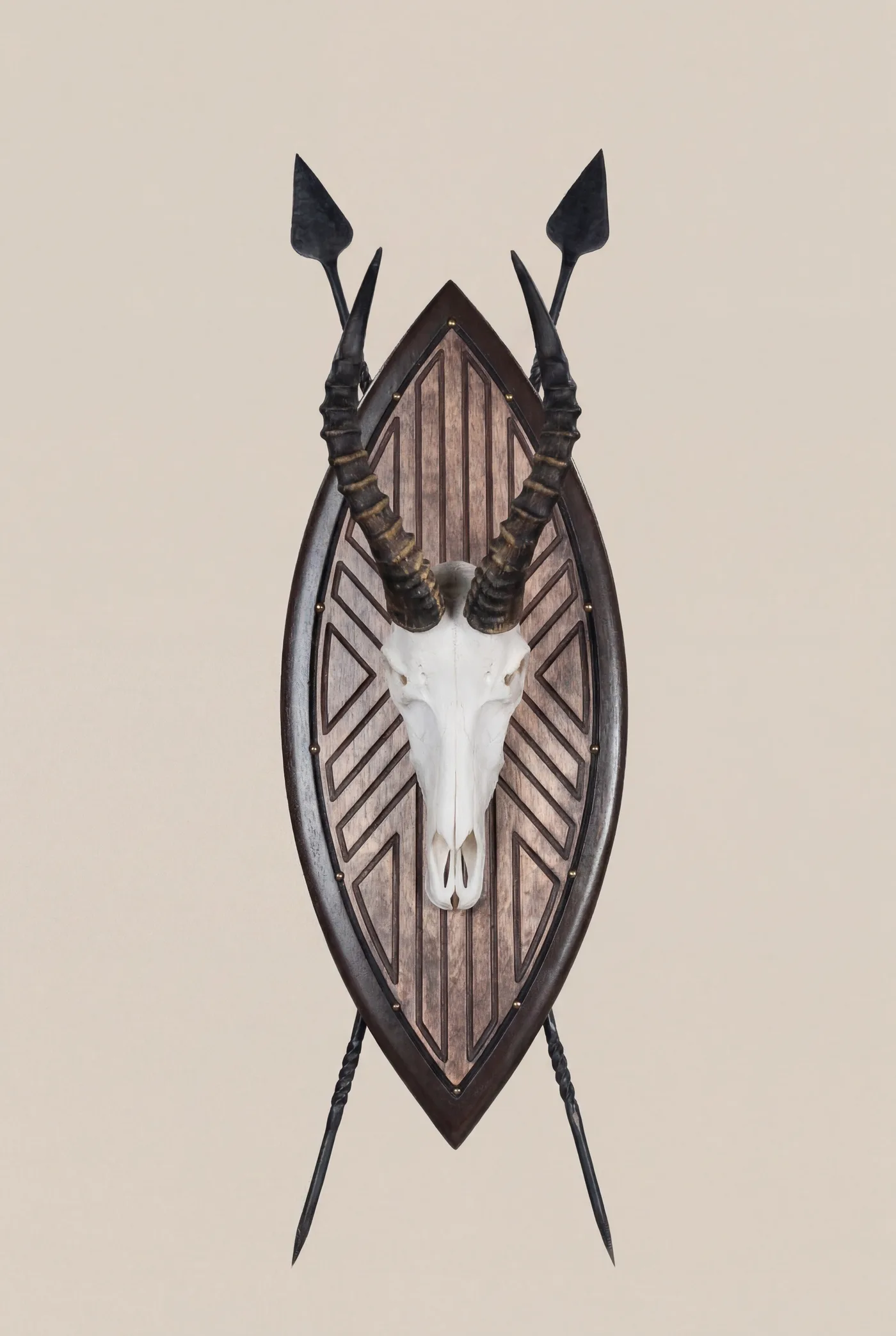 Blesbok Skull on Zulu Shield — Highveld Taxidermists